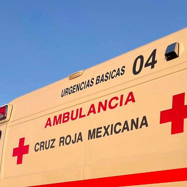 Serpiente de Cascabel Muerde a Niña de 3 Años en San Pedro, Coahuila